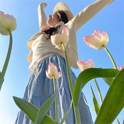 护垫侠