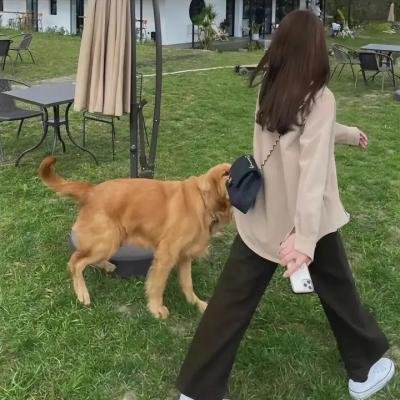找到你了